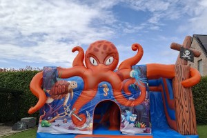 Octopus